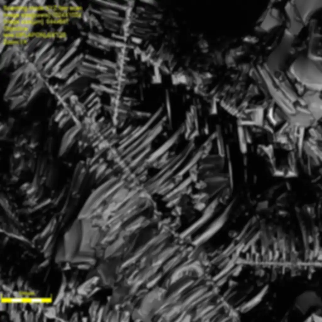 Schwefel-Kristallkathode