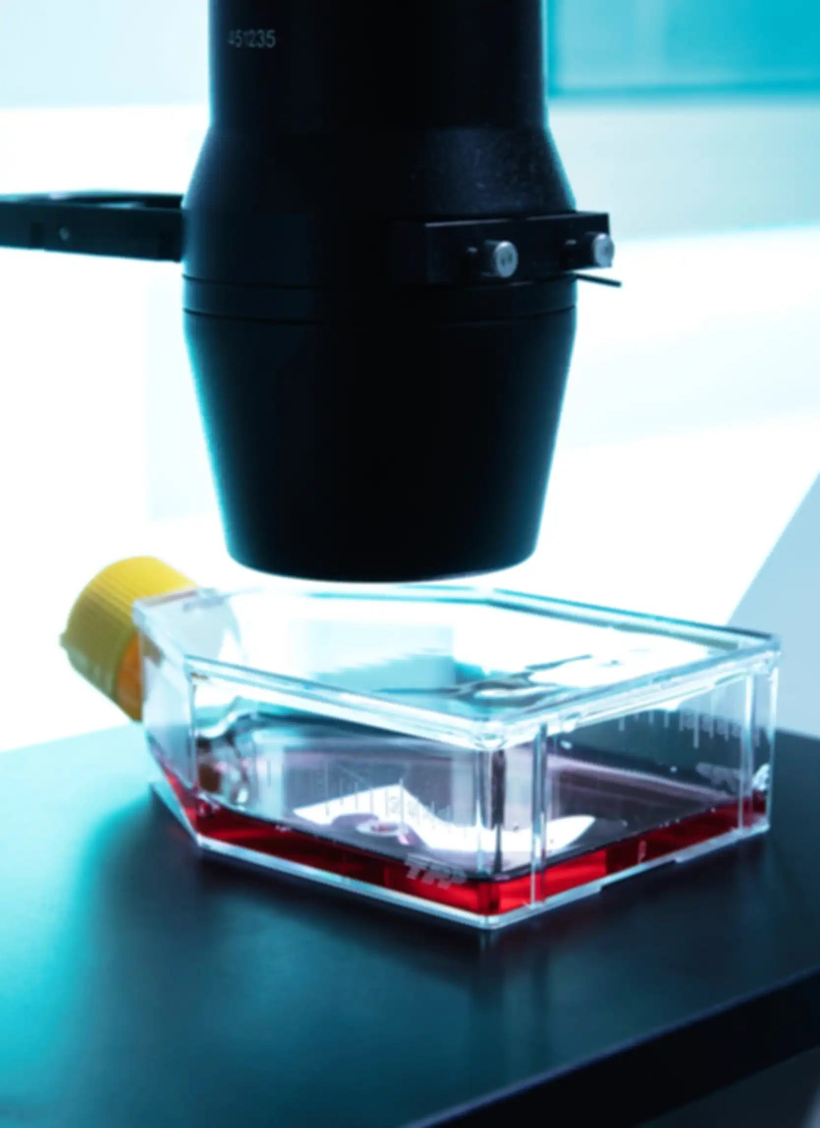 A glass container filled with a red liquid under a microscope objective lens