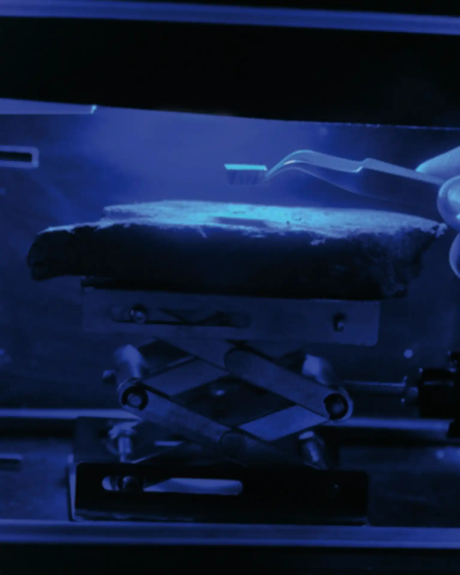 Blue Light Oven