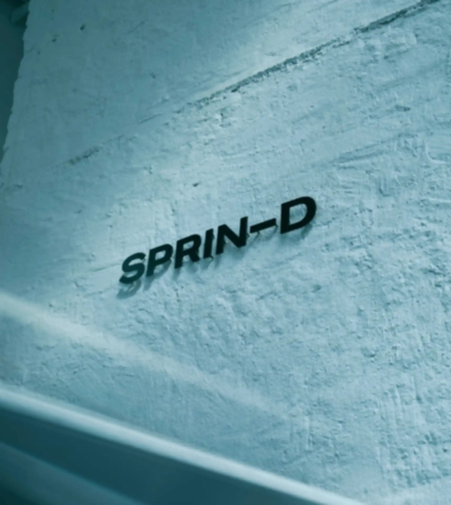 SPRIND Logo