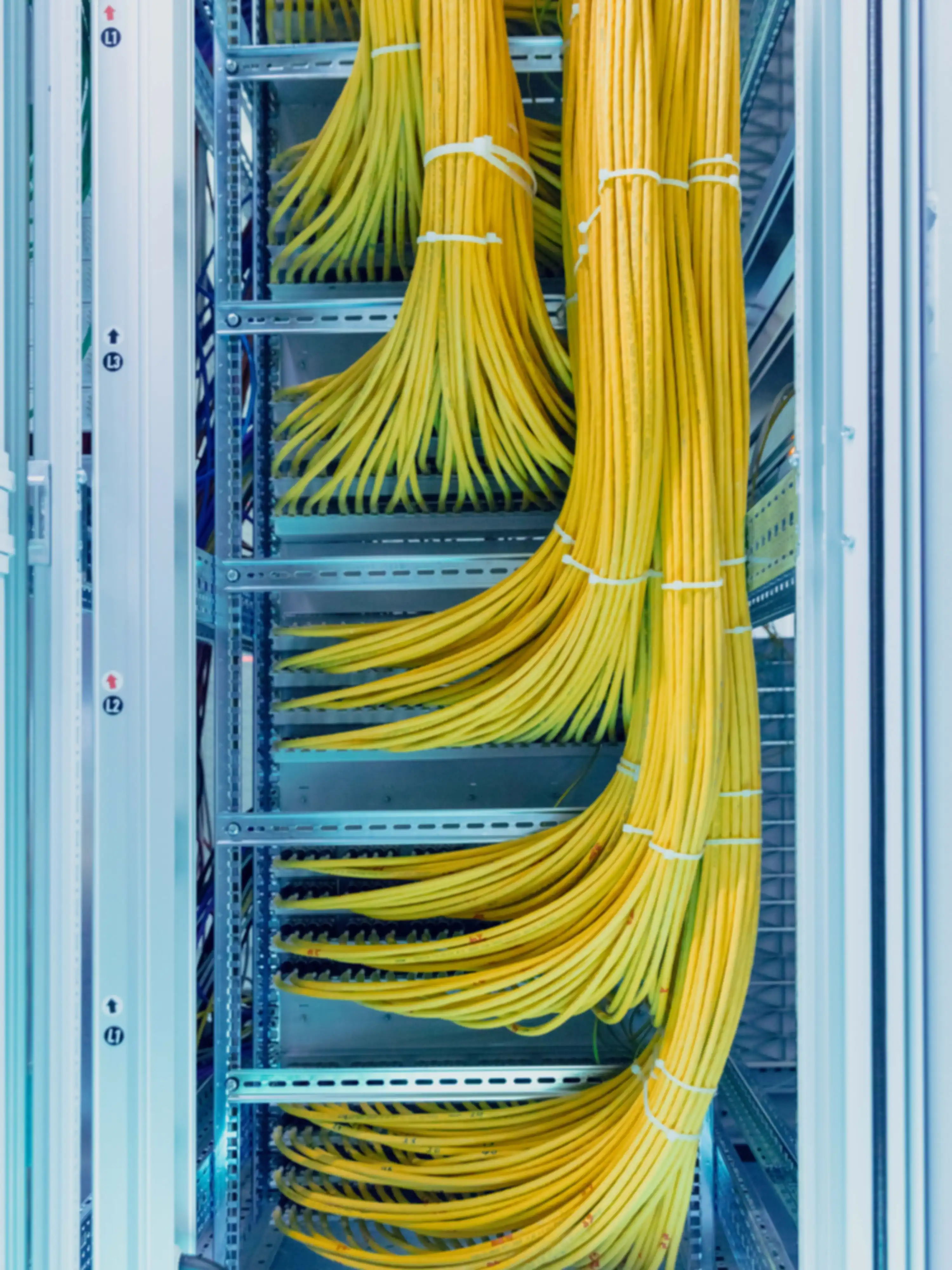Mehrere gelbe Kabel führen in einen Sever