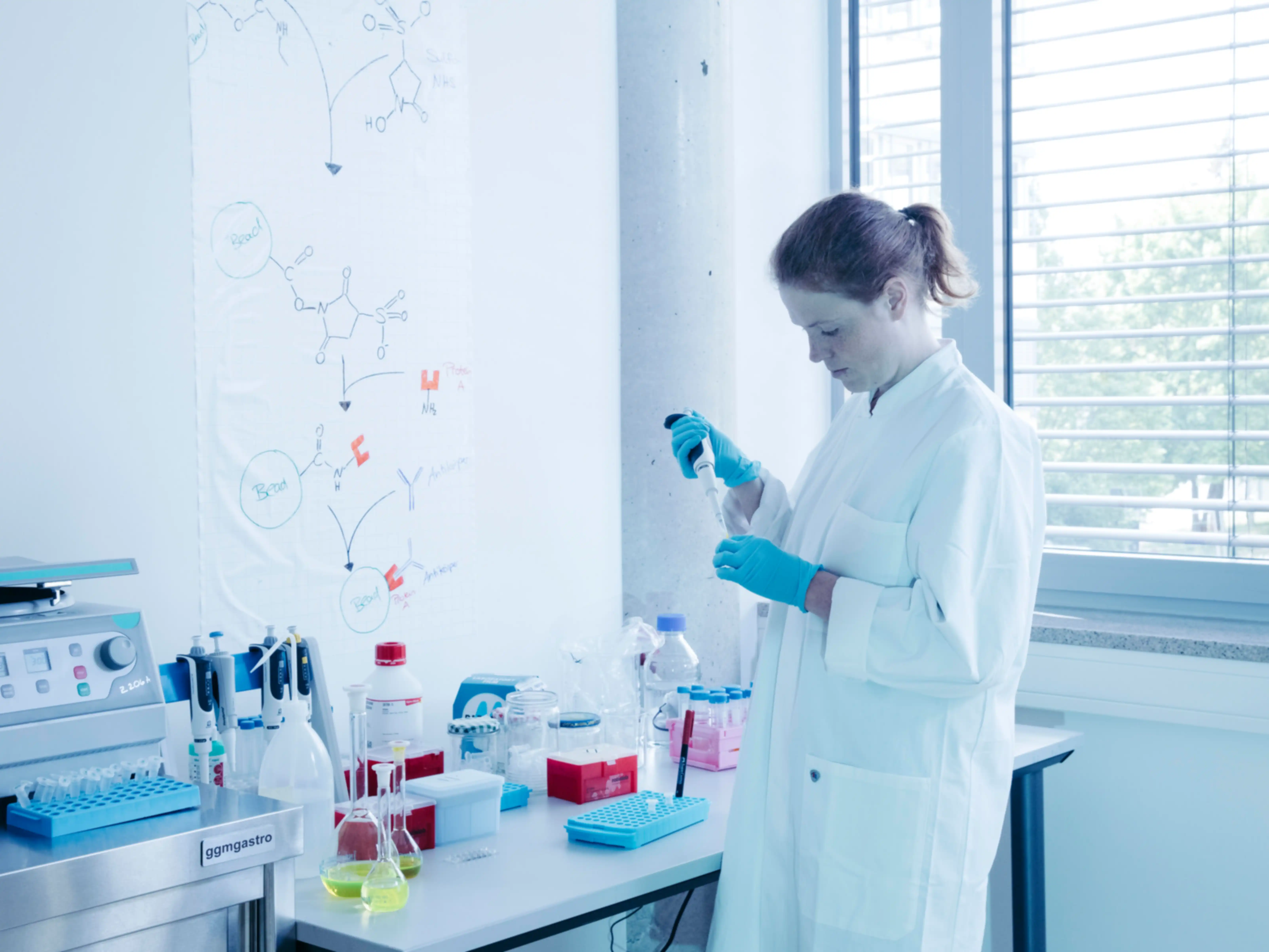 Sarah Hofbrucker MacKenzie