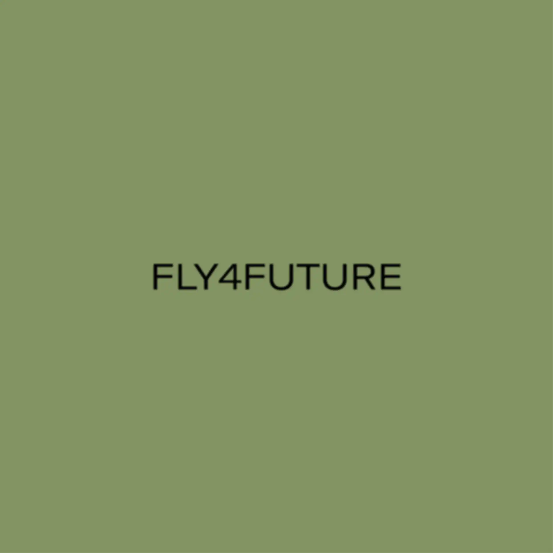 Fly4Future