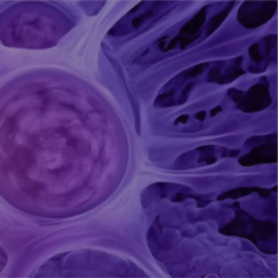 Functional Bioprinted Pancreas Tissue