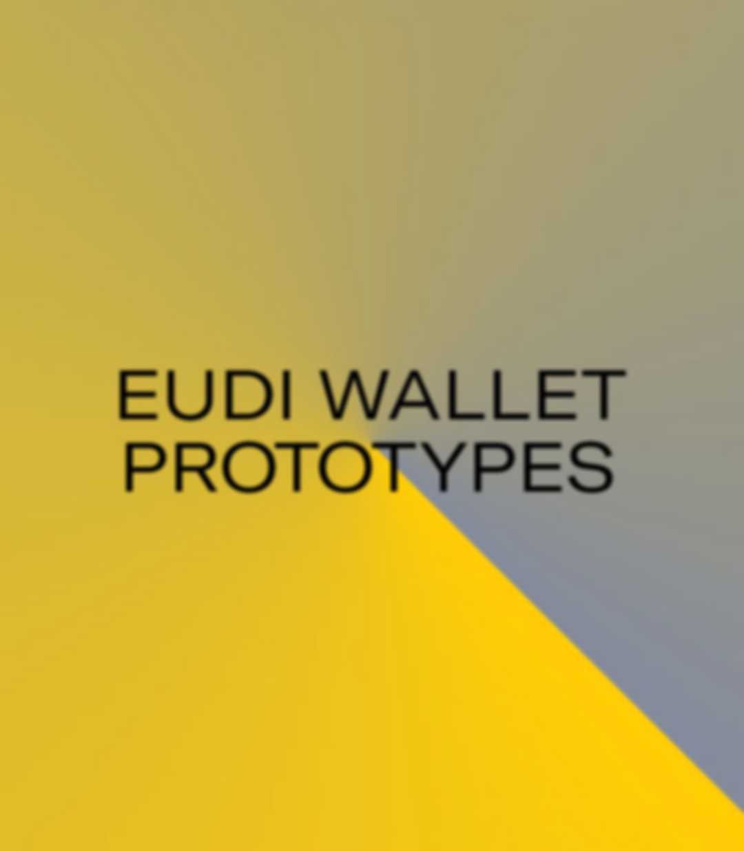Project key visual: yellow-grey radiant with the headline "EUDI WALLET PROTOTYPES" in the middle.