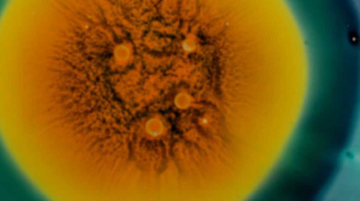 Circular Biomanufacturing