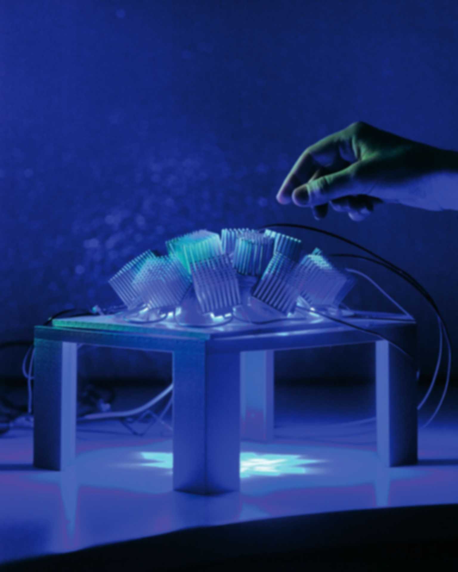 Blue Light